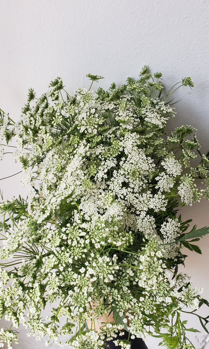 Fancy Fern Garland