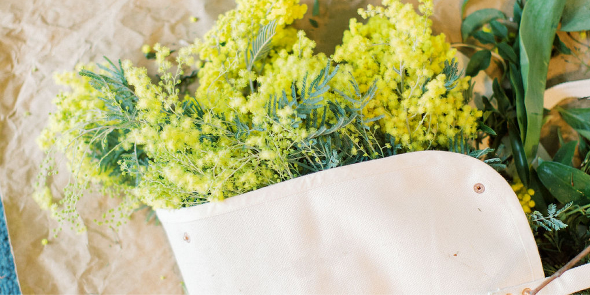 Import Flowers Nashville