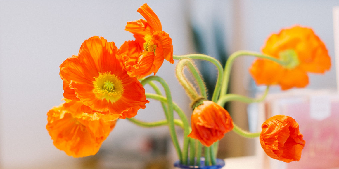 Import Flowers Nashville