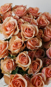 Valentine Spray Rose Coral Ilse